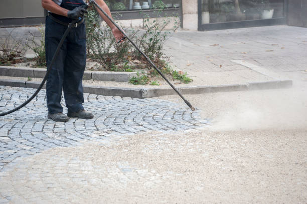 Best Sidewalk and Walkway Cleaning  in La Feria, TX