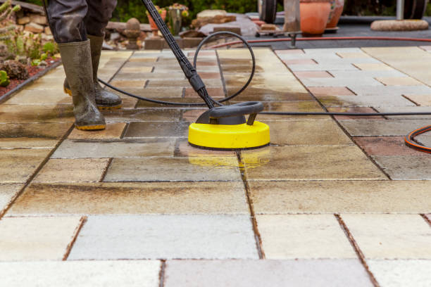 Best Boat and Dock Cleaning  in La Feria, TX