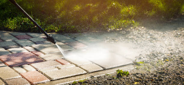 Best Roof Washing  in La Feria, TX