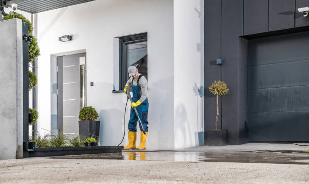 Best Fence Cleaning  in La Feria, TX